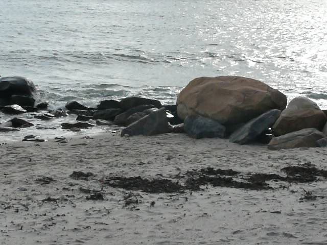 Harkness State Park Beach