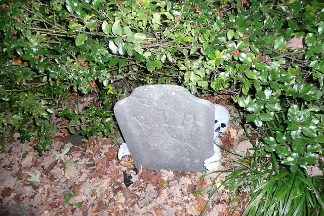 4B - Grave